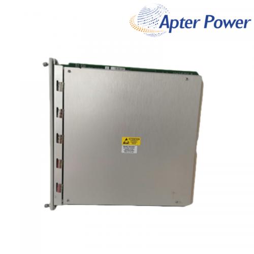 3500/60-01-00 163179-01+133819-01  Temperature Module